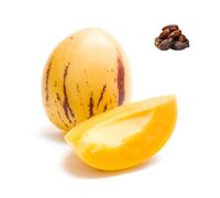 Pepino Melon x 5 units | Fresh Dates Included