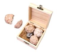 PEPLAYTAL 1 Box Gemstone Mining Kit for Adults Educational Geology Rock Collection Sphere with Four Crystal Mineral Specimens for Science Learning and Birthday Gifts