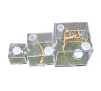 PEPLAYTAL 3pcs Acrylic Insect Breeding Box for Jumping Spider Transparent Terrarium Ventilation for Pet Care and Insect Observation