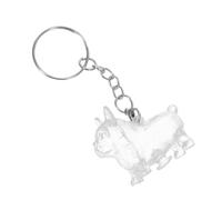 PEPLAYTAL Dog Hair Keepsake Keychain Pet Hair Urn for Memorial Days and Travel with Refillable Design for Cherished Memories