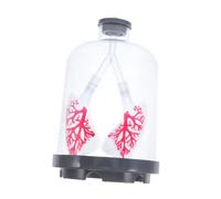 PEPLAYTAL Lung Function Demonstration Model with Adjustable Diaphragm Movement for Biology Experiments Human Lung Anatomy Teaching Aid for Students Transparent Large Respiratory Simulation