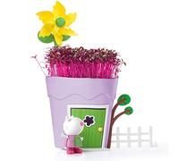 Peppa Pig Grow and Play Pot - Purple