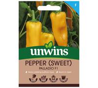 Pepper (Sweet) Palladio F1