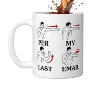 Per My Last Email Mug, 11 Oz Sarcastic Ceramic Drinkware, Novelty Per My Last Email Cup, for Tea Hot Cocoa Milk Juice Hot Cold Drinks Office Colleagues Coworkers