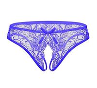 PERAMBRY Womens Sexy Lace Underwear Low Rise Underpants Plus Size Floral Lace Briefs (Blue, large)