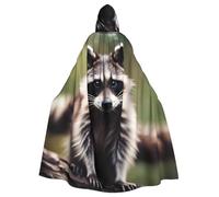 perangg Cute Raccoon Unisex Cloak Hooded Cape For Halloween Cosplay, Adult Witch Robe, Vampire Party Costume