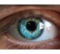 Perception: Illusions and Interpretations