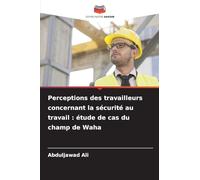 Perceptions des travailleurs concernant la sécurité au travail: étude de cas du champ de Waha