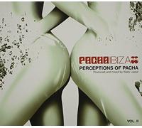 Perceptions of Pacha 2 by Wally Lopez