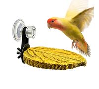 Perch for Birds - Suction Cup Bird Resting Tray, Window Mounted Avian Observation Deck, Heavy Duty Horizontal Standing Base, Interior Enclosure Expansion Hardware, Habitat Accessory for Parrots