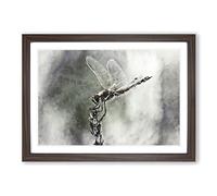 Perched Dragonfly Painting Framed Print | A2 Walnut Framed Wall Art | Ready to Hang | Modern Animal Picture | Living Room Bedroom Lounge Office