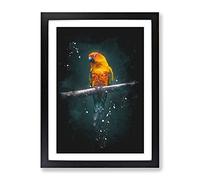 Perched Parrot Paint Splash Modern Framed Wall Art Print, Ready to Hang Picture for Living Room Bedroom Home Office Décor, Black A2 (64 x 46 cm)