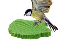 Perches for Birds in Cage - Image of the Claws for Cockatiel - Sharpening Stick Les Claws du Parrot | Intended for Conure owners Animal lovers Aviary Trainers Living Room