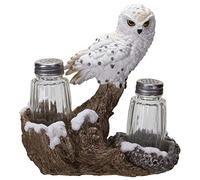 Perching On Tree Branch Spiritual Realistic Decorative Glass Salt and Pepper Shakers Set with Resin Holder Stand (Snowy Owl)