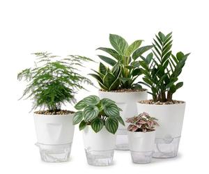 Perclyzm Self Watering Plant Pots Indoor, Set of 5, Plastic Flower Pots with Visible Water Level, Large Capacity Water Retaining Saucers, Automatic Waterer, 10cm 12.5cm 15cm 17.5cm 20cm (White)