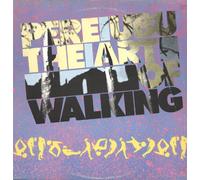 Art of Walking by Pere Ubu (Record, 2016)