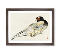 Peregrine Falcon By Kono Baireir Asian Japanese Framed Print | A2 Walnut Framed Wall Art | Ready to Hang | Asian Nature Picture | Living Room Bedroom Lounge Office
