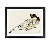 Peregrine Falcon By Kono Baireir Asian Japanese Framed Print | A3 Black Framed Wall Art | Ready to Hang | Asian Nature Picture | Living Room Bedroom Lounge Office