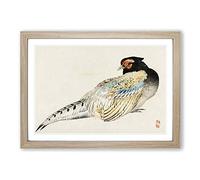 Peregrine Falcon by Kono Baireir Framed Print | A2 Oak Framed Wall Art | Ready to Hang | Modern Nature Picture | Living Room Bedroom Lounge Office