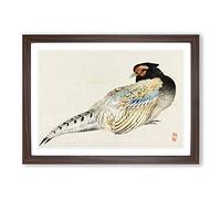 Peregrine Falcon by Kono Baireir Framed Print | A2 Walnut Framed Wall Art | Ready to Hang | Modern Nature Picture | Living Room Bedroom Lounge Office