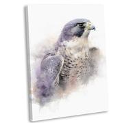 Peregrine Falcon Watercolour Style Portrait Canvas Print Framed British Bird Wall Art Picture (51x36cm / 20x14inch)