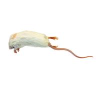 Peregrine Livefoods Frozen Mice - Large Size 22-30g - Pack of 10