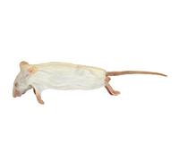 Peregrine Livefoods Frozen Mice - Medium Size 15-22g - Pack of 10
