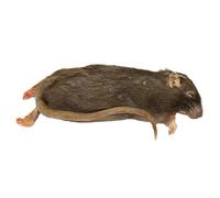 Peregrine Livefoods Frozen Rat Small 90-150g - Pack of 5