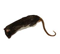 Peregrine Livefoods Frozen Rat X-Large 350-450g - Pack of 5