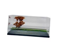 Perfeclan 1/64 Diecast Car Display Case Display Box Clear Cover Simulated Tabletop Decor Showcase Autumn Highway Car Parking Scene