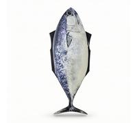Perfeclan Adult Costume Fish Outfit Hooded Jumpsuit Novelty Bodysuit With Face Opening Plain Cloth Build For Party Themes Theater Acts Picture Taking Suitable, Array, Adult One Size, 67 170cm