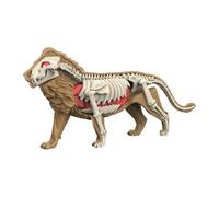 Perfeclan Animal Body Model Demonstration Tool Education Tool Removable Organs Teaching Supplies for Study Teaching Children, 3108