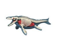 Perfeclan Animal Body Model Demonstration Tool Education Tool Removable Organs Teaching Supplies for Study Teaching Children, 3106