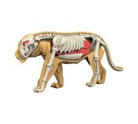 Perfeclan Animal Body Model Demonstration Tool Education Tool Removable Organs Teaching Supplies for Study Teaching Children, 3107