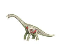 Perfeclan Animal Body Model Demonstration Tool Education Tool Removable Organs Teaching Supplies for Study Teaching Children, 3103