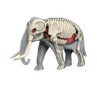 Perfeclan Animal Body Model Demonstration Tool Education Tool Removable Organs Teaching Supplies for Study Teaching Children, 3109
