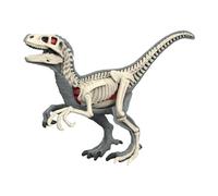 Perfeclan Animal Body Model Demonstration Tool Education Tool Removable Organs Teaching Supplies for Study Teaching Children, 3105