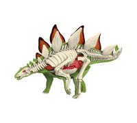 Perfeclan Animal Body Model Demonstration Tool Education Tool Removable Organs Teaching Supplies for Study Teaching Children, 3104