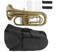 perfeclan Brass Euphonium Four Valve Band Coiled Tubing Large Sound Stable Pitch With Hard Case Shoulder Straps Gloves And Cloth suitable for beginner lessons