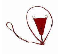 perfeclan Equestrian Chest Strap Triangle Breastplate Martingale Horse Gear Adjustable Design Lacquered Finish Suitable for Schooling Outdoor Hacking Trail Riding , Red