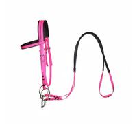 perfeclan Horse Bridle Complete Set with Adjustable Buckles PVC Headstall Rubber Reins Equestrian Bit Non-Slip Comfort Padding Suitable for Competitions Leisure, Pink