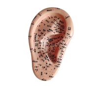 perfeclan Human Ear Acupoint Teaching Aid Professional Simulation Props Ear Teaching Model Practice for SPA Massaging Demonstration, Right