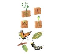 Perfeclan Life Cycle Figurines Toy Montessori Butterfly and Bean Plants Realistic Lifecycle Collection for Boys and Girls Party Favors