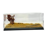 Perfeclan Model Car Display Case Diorama Storage Garage Box 1/64 Ornament Micro Landscape Decor Dustproof Parking Garage Diorama