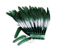Perfeclan Native American Chief Headdress Feather Headdress Photography Props Handcrafted Halloween Hat Chief Headwear Indian Headband