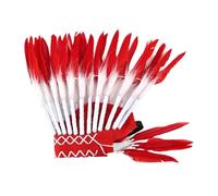 Perfeclan Native Headdress, American Indian Hat for Party Performance, Show, White Red