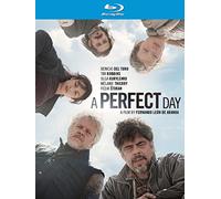 PERFECT DAY