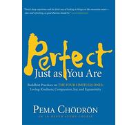 Perfect Just as You Are: Buddhist Practices on the Four Limitless Ones--Loving-Kindness, Compassion, Joy, and Equanimity by Chodron, Pema (2009) Audio CD