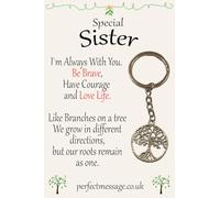 Perfect Message Birthday Gift for Sister, Tree of Life Keyring, Tibetan Silver, Inspirational Keepsake, 70mm