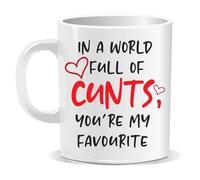 Perfect Mugs in A World Full of Cunts You are My Favourite Mug. for Friend Him Her Co-Worker Gift